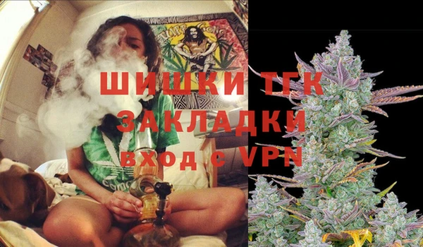 МДПВ Алексеевка