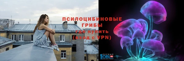 МДПВ Алексеевка