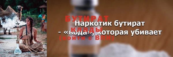 шишки Надым