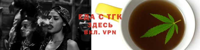 шишки Надым