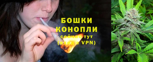 прущие грибы Наволоки