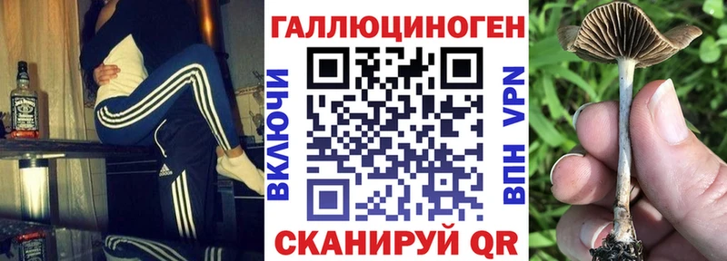где можно купить   omg сайт  Галлюциногенные грибы Cubensis  Богучар 